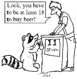 Young raccoon tries to buy beer.