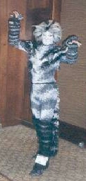 Jellicle Cat Costume.