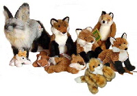 Foxes enjoying Fox Day.