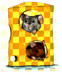 Mice and cheese.
.