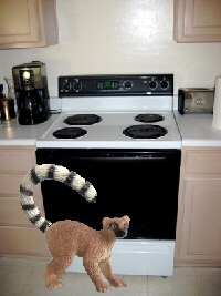 Cooking lemur.
.