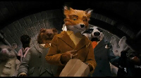 Mr. Fox.