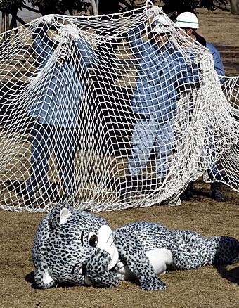 Fursuiter being netted.