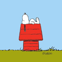 Snoopy's doghouse.